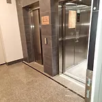 Zloty Lisc * 斯克拉斯卡波伦巴