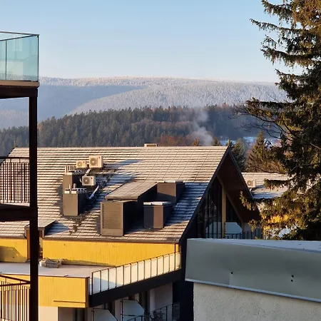 Lejlighed Zloty Lisc