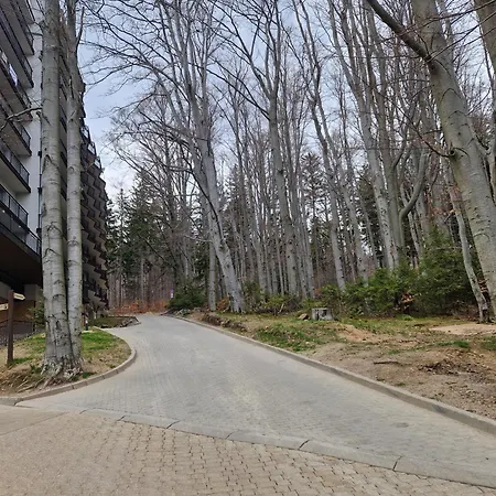 Zloty Lisc * Szklarska Poręba