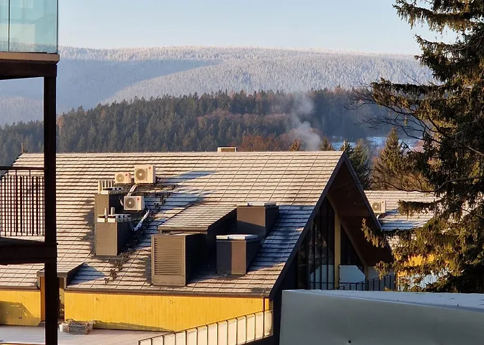 Lejlighed Zloty Lisc